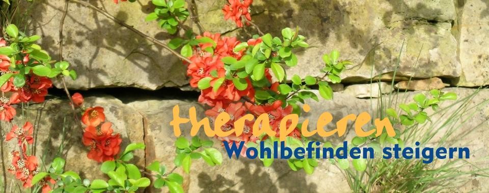 Rosenranken an einer Steinmauer Rosenranken an einer Steinmauer